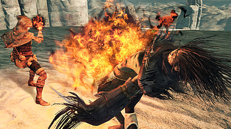 画像集#009のサムネイル/「DARK SOULS II」の追加DLC第2弾「CROWN OF THE OLD IRON KING」の新たなスクリーンショットと限定配布アイテムの情報が公開に