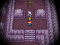 画像集#008のサムネイル/「ポケットモンスター X・Y」伝説のポケモン「ミュウツー」に似た新ポケモンの情報が公開。番組内でお披露目された最新映像を再確認しよう