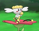 画像ギャラリー No.060のサムネイル画像 / 「ポケットモンスターX・Y」の最新情報が公開。最初のパートナーとなるポケモンの進化や，メガシンカしたミュウツーの「もう一つの姿」など，情報満載