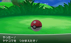画像集#004のサムネイル/「『ポケットモンスター X・Y』クリスマス交換会」でメガシンカするポケモンをもらおう。ポケモンセンターおよびトイザらスで12月21日から26日まで実施