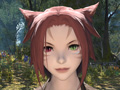 MMORPG初心者のFFファンに贈る「新生FFXIV」ガイド。第2回は,冒険に旅立つ前に知っておきたい「クラス」や「種族」などを紹介