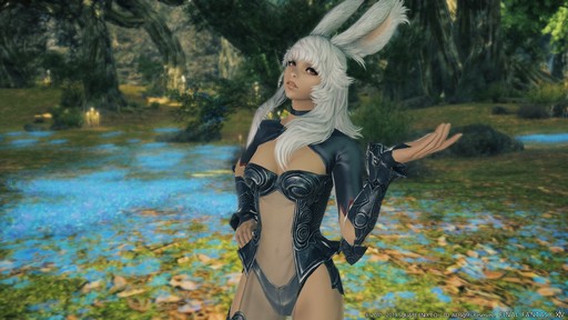 No.023Υͥ / FFXIVΥ󥺡פΥ饤󥹥쥤ɤϡNieRפȤΥܤˡѥǳŤ줿֥եեƥХ״Ĵֱݡ
