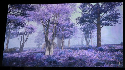 画像集 No.106のサムネイル画像 / 「クリスタリウム」はこうして作られた。「FFXIV ファンフェスティバル in 東京」の「開発パネル」やアクティビティなどをまとめてお届け