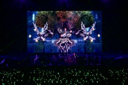  No.024Υͥ / Υҥǲͥ꡼ʤɤ줿THE PRIMALS Live in Japan - Darkest Before Dawnץݡ