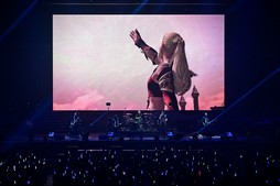  No.057Υͥ / Υҥǲͥ꡼ʤɤ줿THE PRIMALS Live in Japan - Darkest Before Dawnץݡ