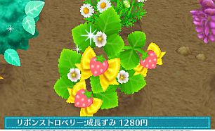 画像集#017のサムネイル/「クマ・トモ」ダウンロード版が6月20日発売。庭で可愛い植物を育てる「ガーデニング」やミニゲームとして楽しめる「料理」などが公開に
