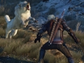 「The Witcher 3: Wild Hunt」ゲームシーンをダイジェストで紹介する最新トレイラーや4K解像度のスクリーンショットが公開