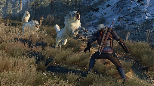 画像集 No.003のサムネイル画像 / 「The Witcher 3: Wild Hunt」ゲームシーンをダイジェストで紹介する最新トレイラーや4K解像度のスクリーンショットが公開