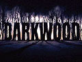 ポーランド生まれのサバイバルホラー,「Darkwood」のトレイラー公開。プレα映像ながら,妙に怖い