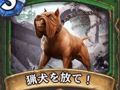 「ハースストーン」初心者向けガイドを更新。天下一ヴドゥ祭の環境に対応しました