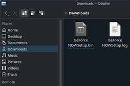 ꡼ No.009Υͥ / ǶηӥĶߤʤ顤Steam DeckGeForce NOW٤Υ󥹥ȡפǳڤ