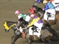 「Winning Post」シリーズ20周年を記念した冠レース「ウイニングポスト20周年記念賞」が,東京・大井競馬場にて開催