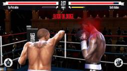 Real Boxing