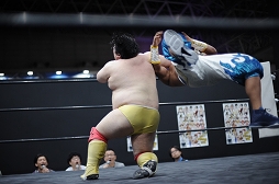 画像集 No.007のサムネイル画像 / ［TGS 2016］4Gamer×DDTプロレス×リングドリーム興行「愛は相よりいでて 2.5」フォトレポート。「DDT美少女化計画」の美少女化権は“美熟女”チェリー選手の手に