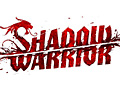 「Shadow Warrior」のリメイク作品の存在が明らかに。開発はFPS「Hard Reset」を手がけたFlying Wild Hog