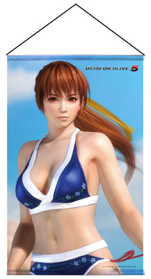 画像集#001のサムネイル/「DEAD OR ALIVE 5」の人気キャラクターがタペストリーで登場。予約受付開始
