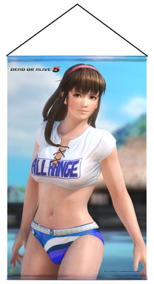 画像集#003のサムネイル/「DEAD OR ALIVE 5」の人気キャラクターがタペストリーで登場。予約受付開始