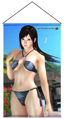 画像集#004のサムネイル/「DEAD OR ALIVE 5」の人気キャラクターがタペストリーで登場。予約受付開始