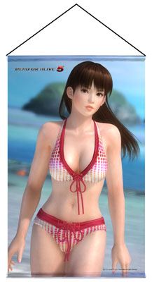 画像集#005のサムネイル/「DEAD OR ALIVE 5」の人気キャラクターがタペストリーで登場。予約受付開始