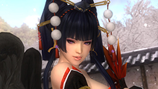 #019Υͥ/DEAD OR ALIVE 5 Ultimateפɲå֥ե4פѤǤ븢PS3ǸۿǤˤϿֽŷפо