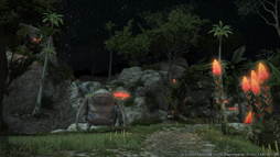 PS4Ǧ¥ƥľΡֿFFXIVפˤĤƵľ˥󥿥ӥ塼⡼ȥץ쥤δݡȤ褦