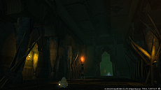 画像集 No.046のサムネイル画像 / 「新生FFXIV」，プロデューサーレターを補完するパッチ2.5「希望の灯火」の最新情報が公開。約10分におよぶ紹介トレイラーも