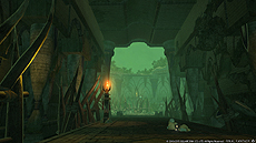 画像集 No.047のサムネイル画像 / 「新生FFXIV」，プロデューサーレターを補完するパッチ2.5「希望の灯火」の最新情報が公開。約10分におよぶ紹介トレイラーも