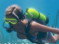 「World of Diving」のゲームプレイを紹介する最新のムービーが公開。沈没船の周囲に広がる神秘的な世界を堪能しよう