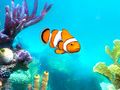 【7月8日のiOS向けアプリセール情報】水槽の熱帯魚や珊瑚を眺めて楽しめる「Sim Aquarium 3D」が無料で配信中