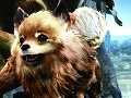 「TOKYO JUNGLE Mobile」がPlayStation Mobileにて配信開始。7月16日まで300円で購入できるキャンペーンもスタート