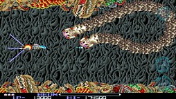 R-TYPE