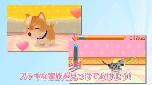 ˥ƥɡ3DS֤˥ڥåȥåסץץ⡼󡦥ӥǥ