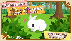 ϥ˥ դʼȤɤ֤