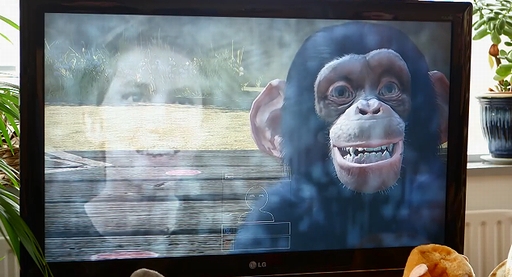 Zoo Tycoonץȥ쥤顼