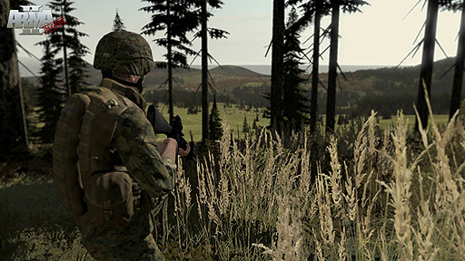 画像集#003のサムネイル/「ARMA 2」と拡張パック「Operation Arrowhead」をセットにした「ARMA 2: COMBINED OPERATIONS 日本語マニュアル付 英語版」が9月20日発売