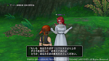 画像集#008のサムネイル/「ドラゴンクエストX」,Ver.2.4で実装されるレンダーシアストーリー最終章や,期間限定実装となる新しい遊び「クイズスライム」の情報が公開