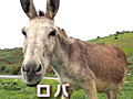 またヤギか……いやロバや! セガが謎のようで謎ではない新動画「ロバです」を公開