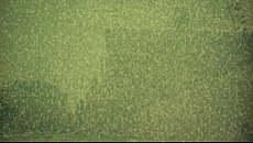 #001Υͥ/0αġġ֥ڥ륽ʡץ꡼ȯɽΥȥˡ֥ޥʥƥӡפή