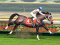 「Winning Post 8」,最強馬を産み出すために知っておきたい情報が一挙公開に。実在の種牡馬や繁殖牝馬も多数登場