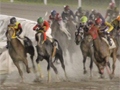 「Winning Post」シリーズの冠レースが大井競馬場で開催。ソフトやPS Vita本体が当たる抽選会も実施中