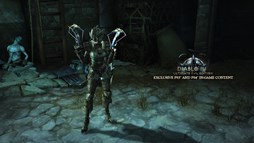 画像集#003のサムネイル/PS4/PS3版「ディアブロ III リーパー オブ ソウルズ アルティメット イービル エディション」が，「ワンダと巨像」「The Last of Us」とコラボ決定