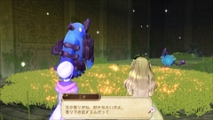 画像集#044のサムネイル/「アーシャのアトリエ Plus」,初回特典&プレミアムボックス付属のコスチュームや新登場の水着情報がお披露目。女性キャラ「ニオ」と「オディーリア」のプロフィールも公開に