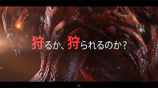 EvolveϤΥեƥȼ»ܷꡪ