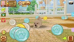 画像集#002のサムネイル/「てのひらワンコ」，ゲーム内で手に入るコインや経験値を大幅にアップ