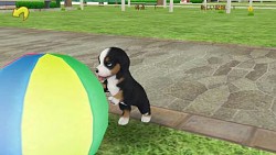 画像集#004のサムネイル/「てのひらワンコ」，ゲーム内で手に入るコインや経験値を大幅にアップ