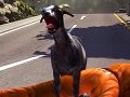 ヤギが2匹で楽しさ2倍? 「Goat Simulator」5月のアップデートでマルチプレイや新マップなどが追加