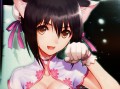 シリーズ初の格闘ゲームとなった「BLADE ARCUS from Shining」ロケテストレポート。総合プロデューサー・澤田氏への合同インタビューも合せて掲載