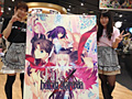 「Fate/hollow ataraxia」のパッケージビジュアルが公開。原画は武内 崇氏,彩色はこやまひろかず氏が担当