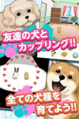画像集#005のサムネイル/育成SLG「ウチの犬～飼い主になってください～」がauスマートパスで配信に