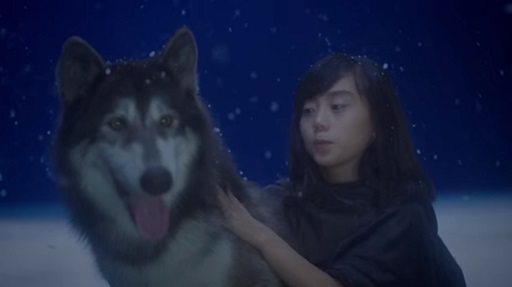 ؾȥɥ饴١֥ߤȾ ֳӡ